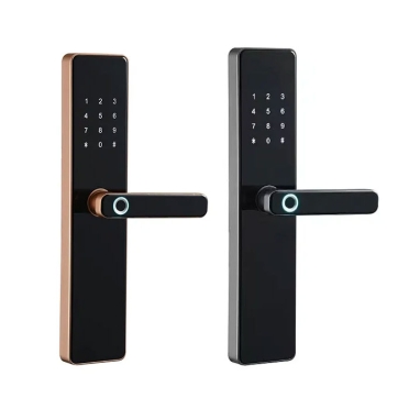 Smart Lock S819